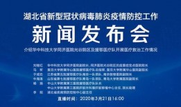 湖北医院最新爆料新闻,揭秘医疗事件背后真相