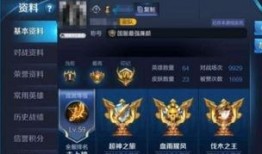 王者皮肤爆料最新国服,神秘英雄即将惊艳登场